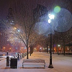 New Haven Snow ©IL 2010 / photo ID #00059