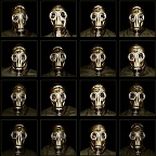 Sixsteen Elephanties, set 2 of 4 / (16 persons, shot before and after 10-minutes gas mask application) 12x12